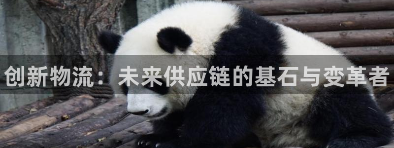 28圈自行车图片：创新物流：未来供应