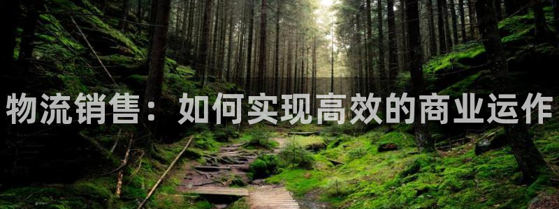 28圈app官网少林足球