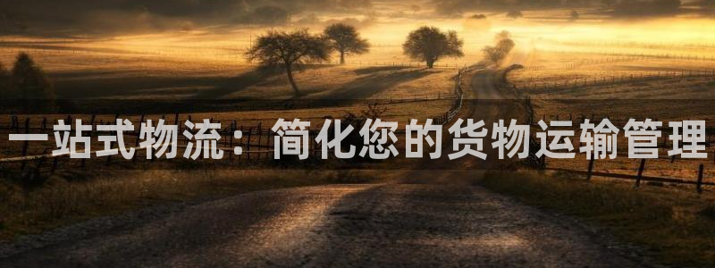 28圈登录不上咋回事