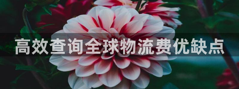 28圈登录不上咋回事