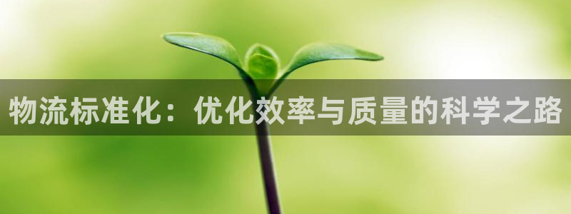 28圈注册限制怎么解除：物流标准化：