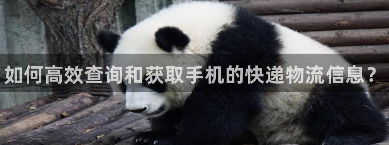 28圈PG电子游戏：如何高效查询和获取手机的快递物流信息？