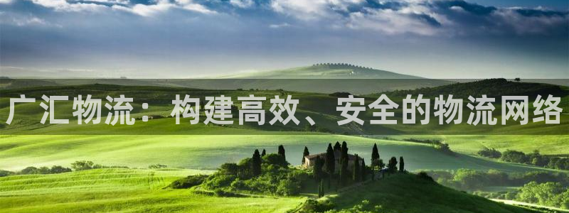 28圈注册账号：广汇物流：构建高效、安全的物流网络