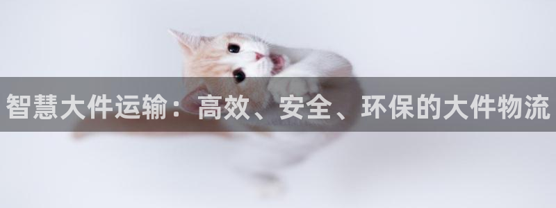 28圈app赢了500万：智慧大件运输：高效、安全、环保的大