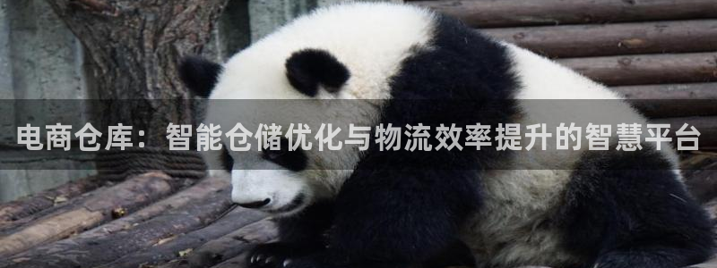 28圈.ccmpc正版：电商仓库：智