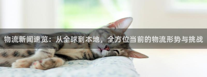 28圈官方平台：物流新闻速览：从全球