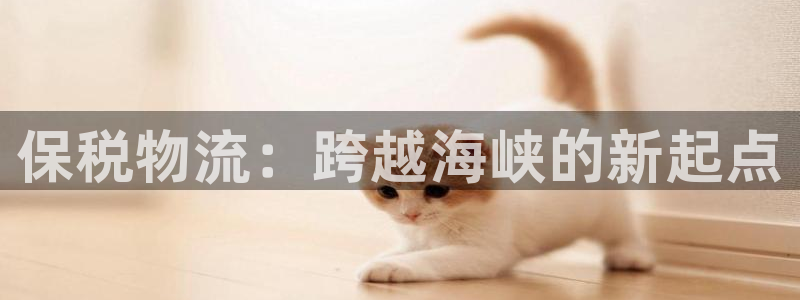 28圈注册链接入口：保税物流：跨越海