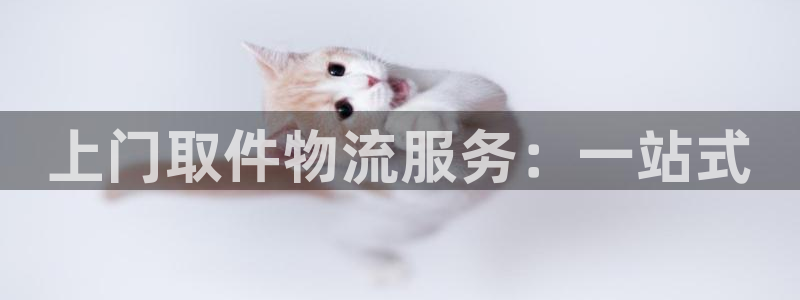 28圈绿骨头：上门取件物流服务：一站