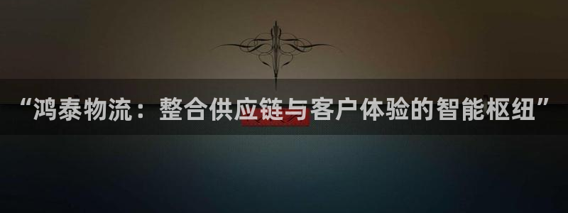 28圈反水：“鸿泰物流：整合供应链与