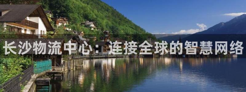 28圈加拿大技巧：长沙物流中心：连接