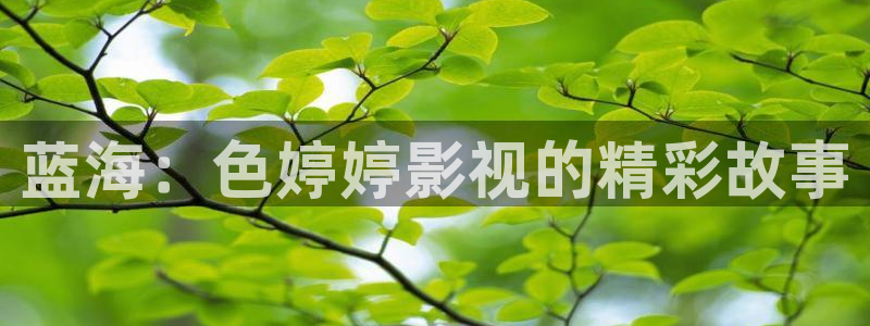 晴天影院免费观看电视剧高清