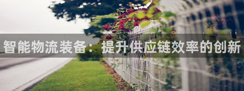 28圈充值不到账什么原因