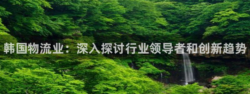 28圈加拿大最新版