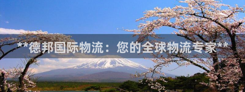 28圈充值不到账什么原因