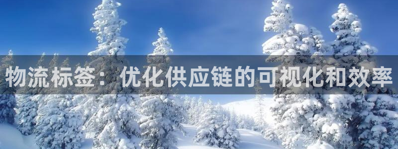 28圈官方平台