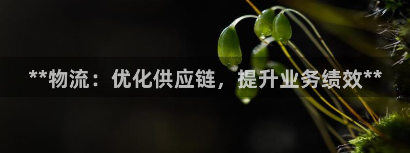 28圈充值不处理怎么办