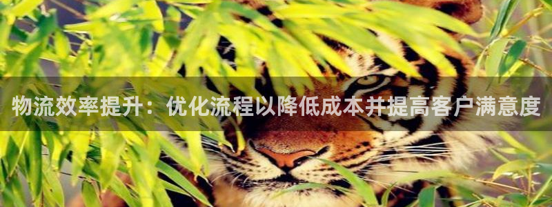 28圈加拿大是什么意思