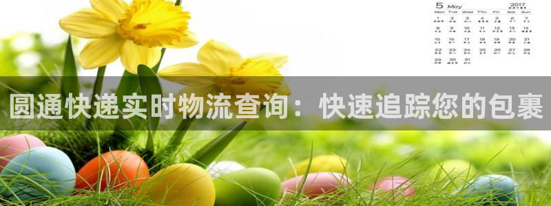 28圈游戏官网版