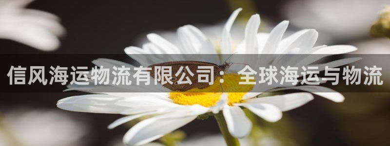 28圈初始资金密码在哪里改