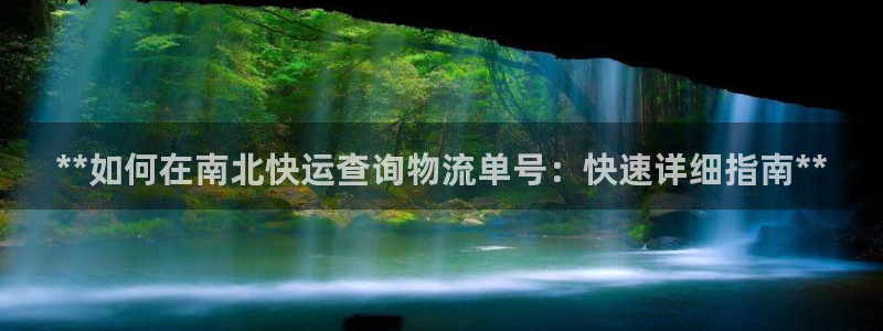28圈怎么下载
