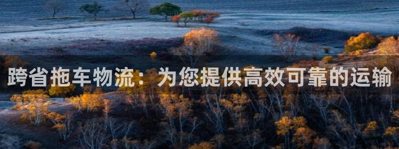 28圈官网网站