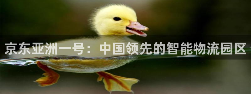 28圈免费充钱