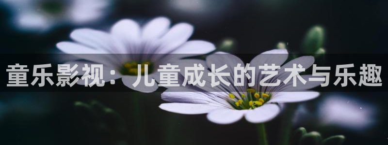 晴天影视下载免费