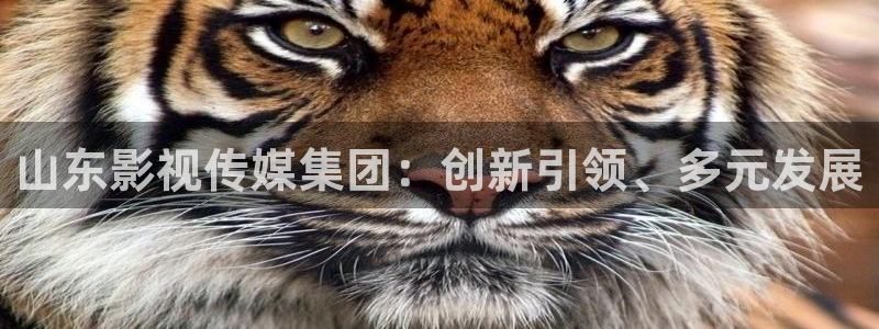 晴天影视官方下载app